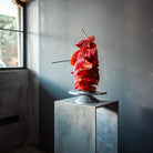 Anthurium T-Shirt - SOON TO BE ANNOUNCED