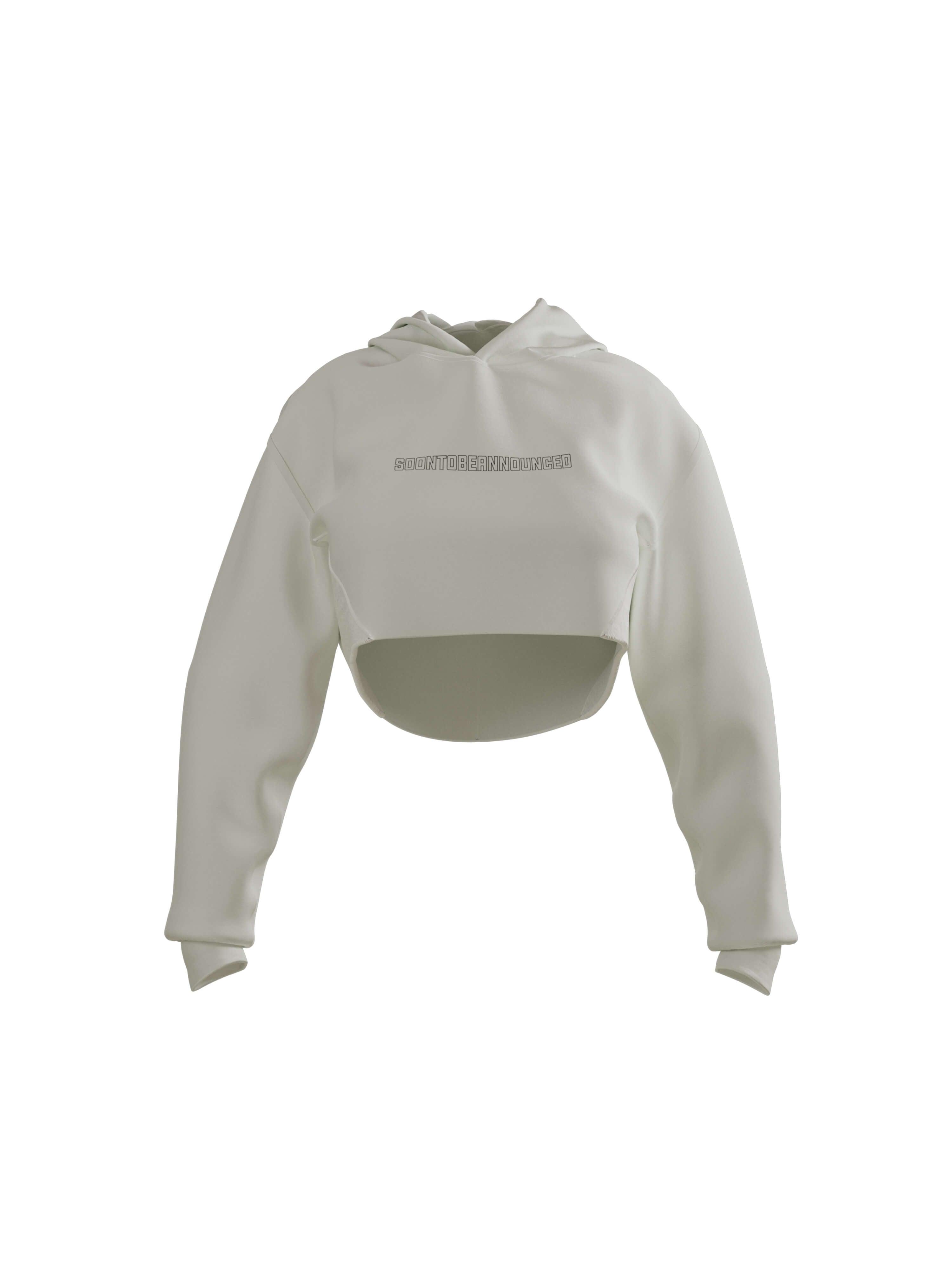 Heavyweight Logo Crop Hoodie - SOON TO BE ANNOUNCED