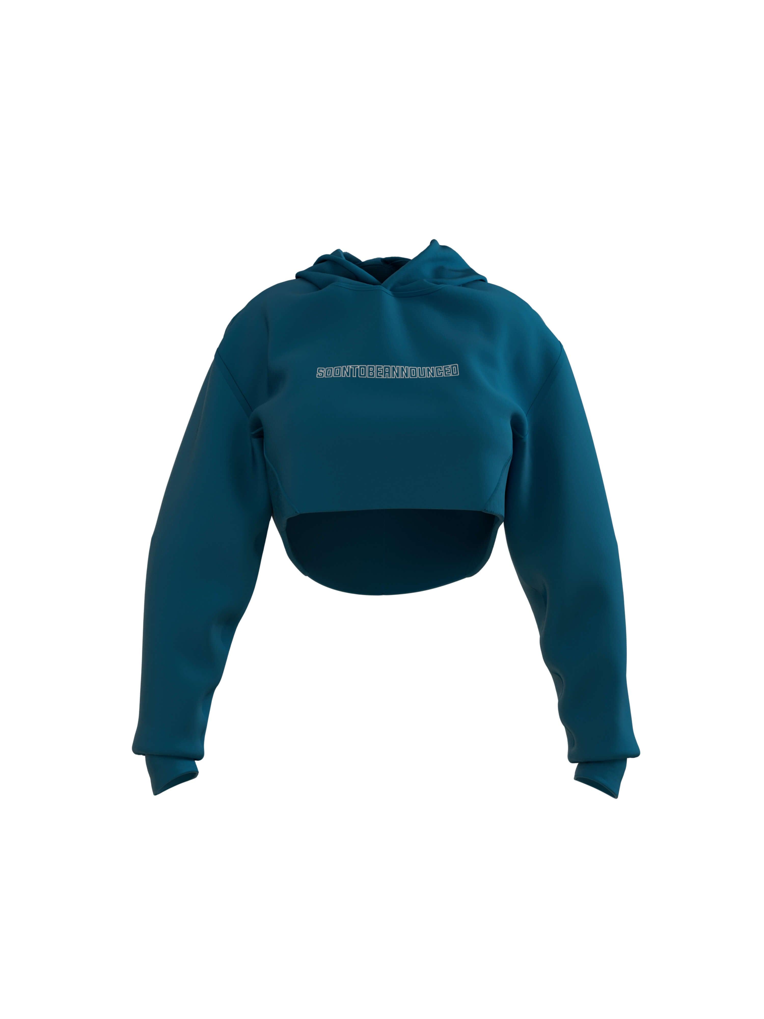 Heavyweight Logo Crop Hoodie - SOON TO BE ANNOUNCED