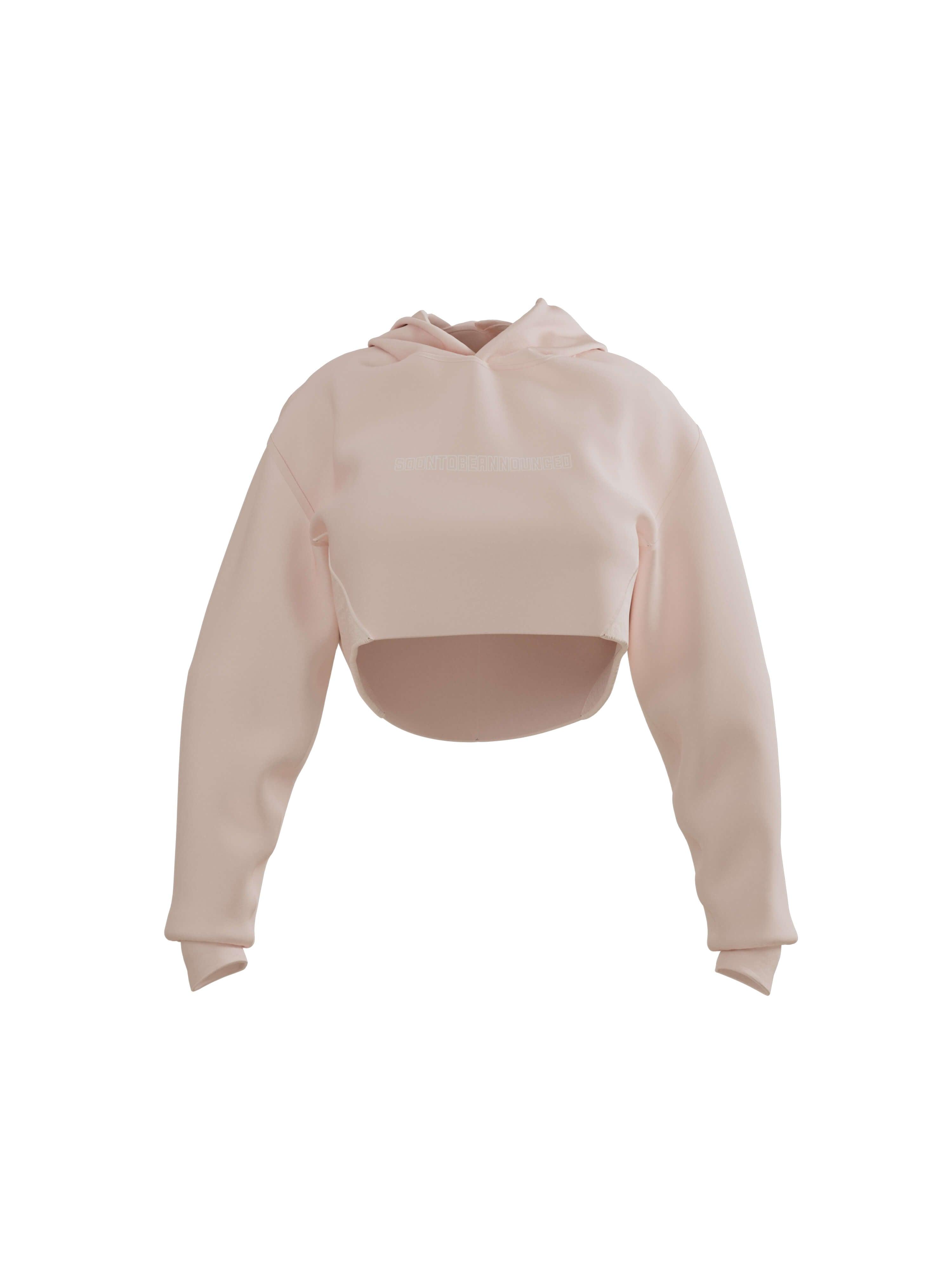 Heavyweight Logo Crop Hoodie - SOON TO BE ANNOUNCED