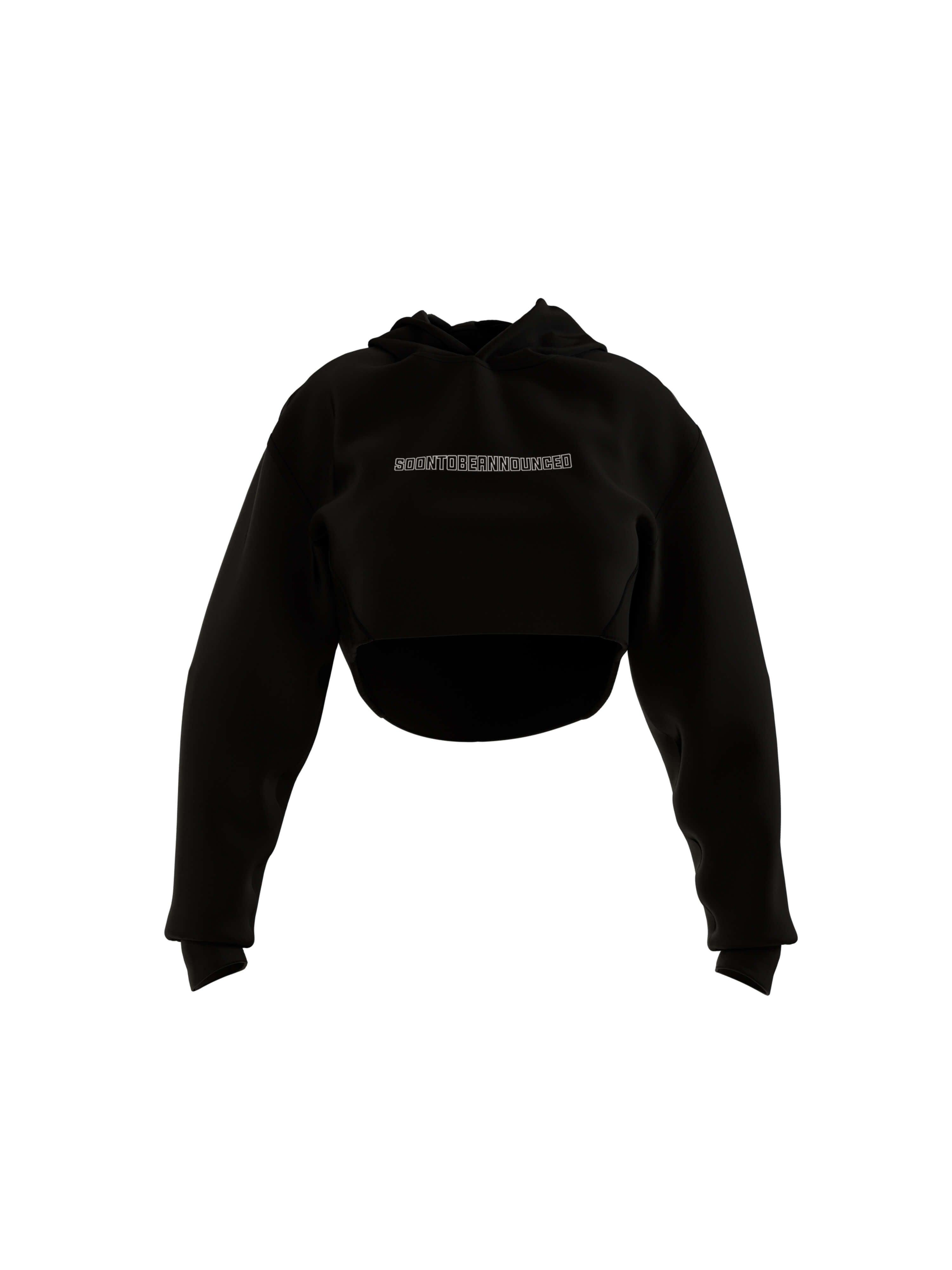 Heavyweight Logo Crop Hoodie - SOON TO BE ANNOUNCED