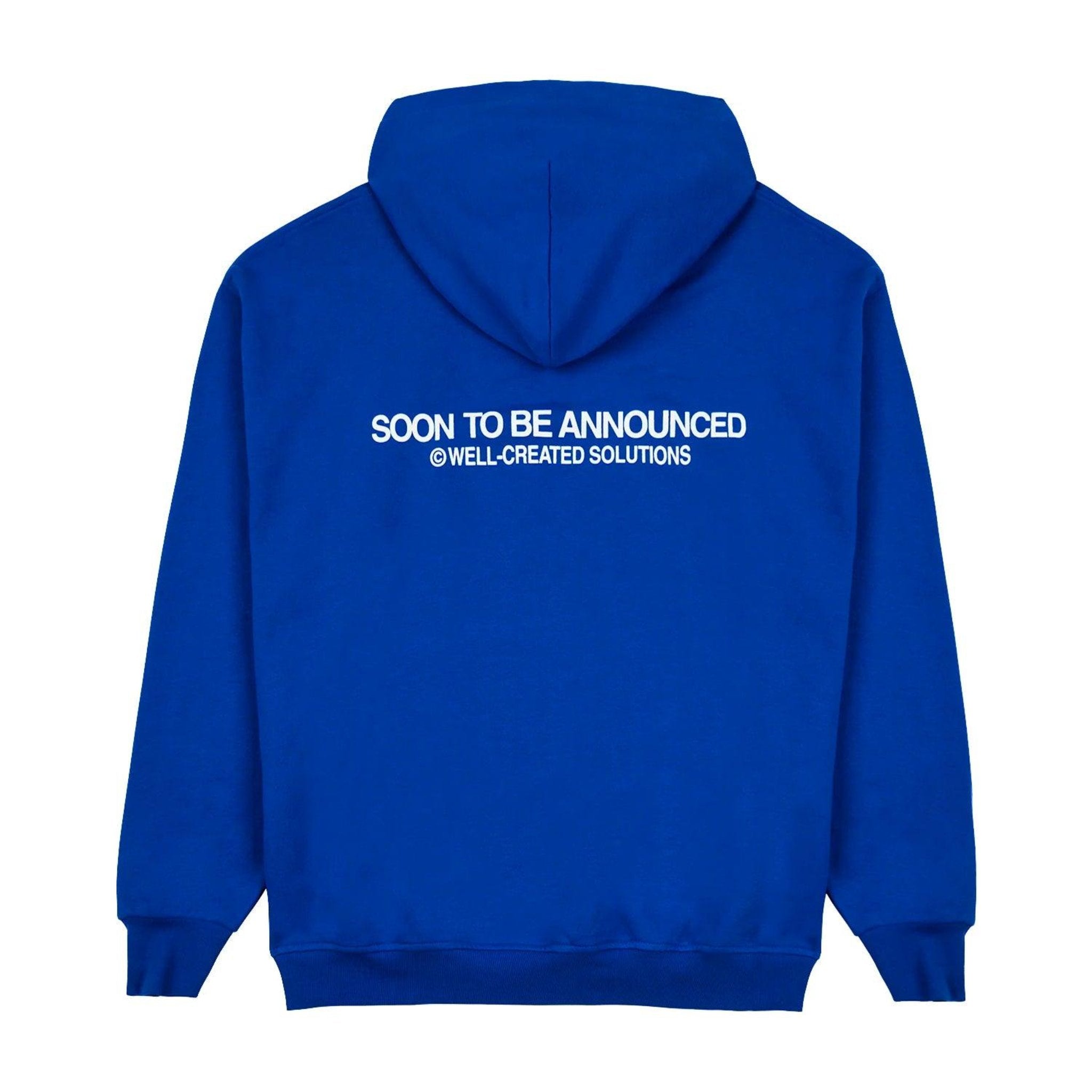 Well-Created Hoodie - SOON TO BE ANNOUNCED